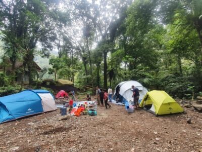 Stylish remodeled room