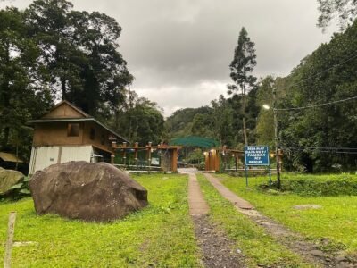 Stylish remodeled room