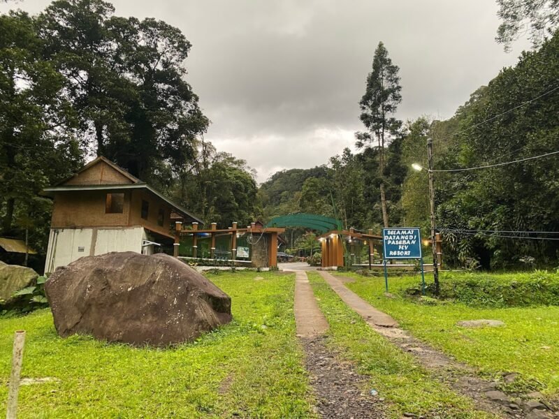 Stylish remodeled room